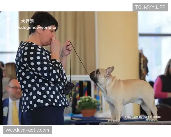 揭秘bob官方真人背后团队打造的专业内容与精彩瞬间 揭秘bob官方真人背后团队打造的专业内容与精彩瞬间