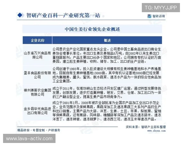 分析DB真人旗舰集团的合规运营策略，确保平台合法合规安全稳定发展